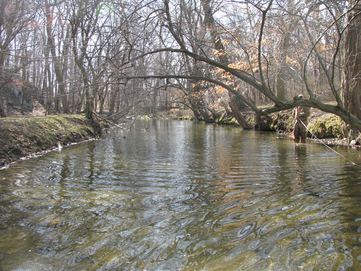 Field photo showing stream conditions at site OCTO-212-R-2009-2