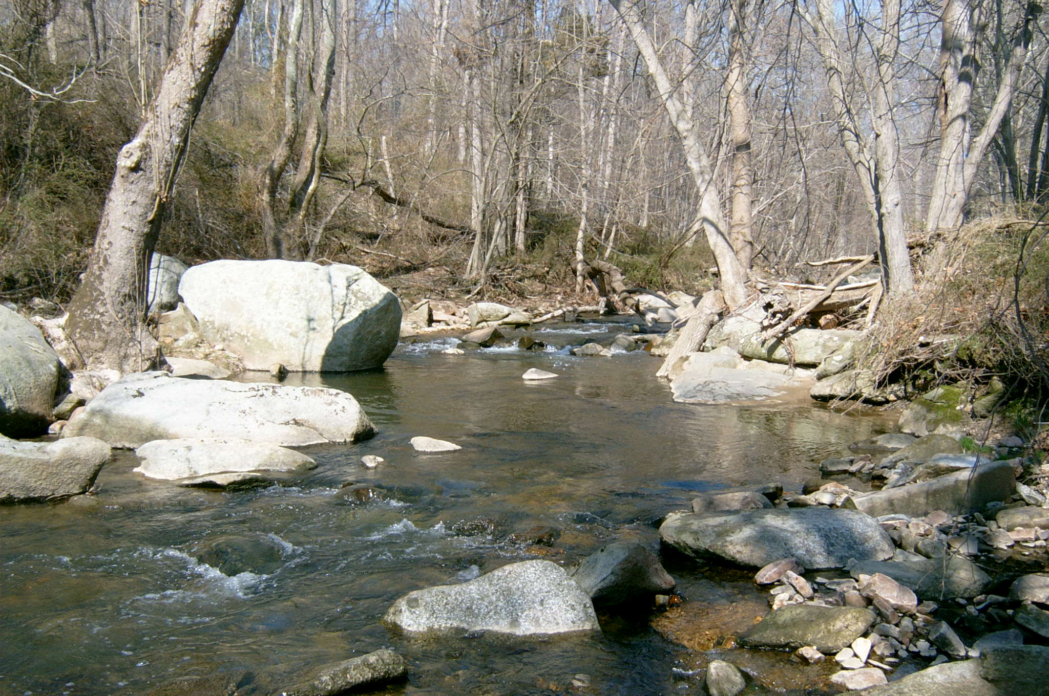 Field photo showing stream conditions at site OCTO-213-R-2004-70