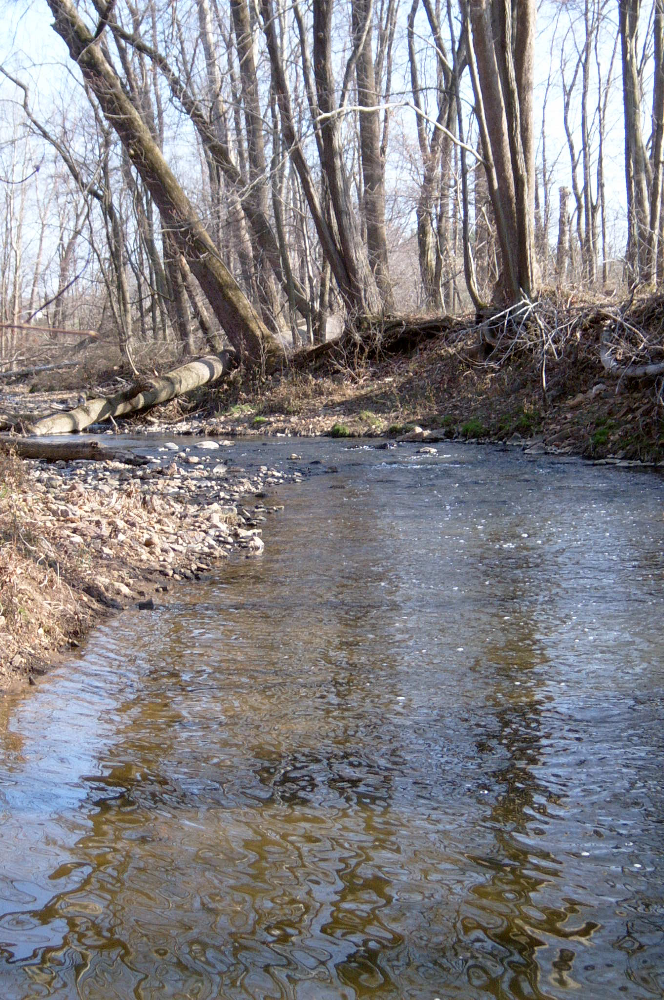 Field photo showing stream conditions at site OCTO-215-R-2004-72