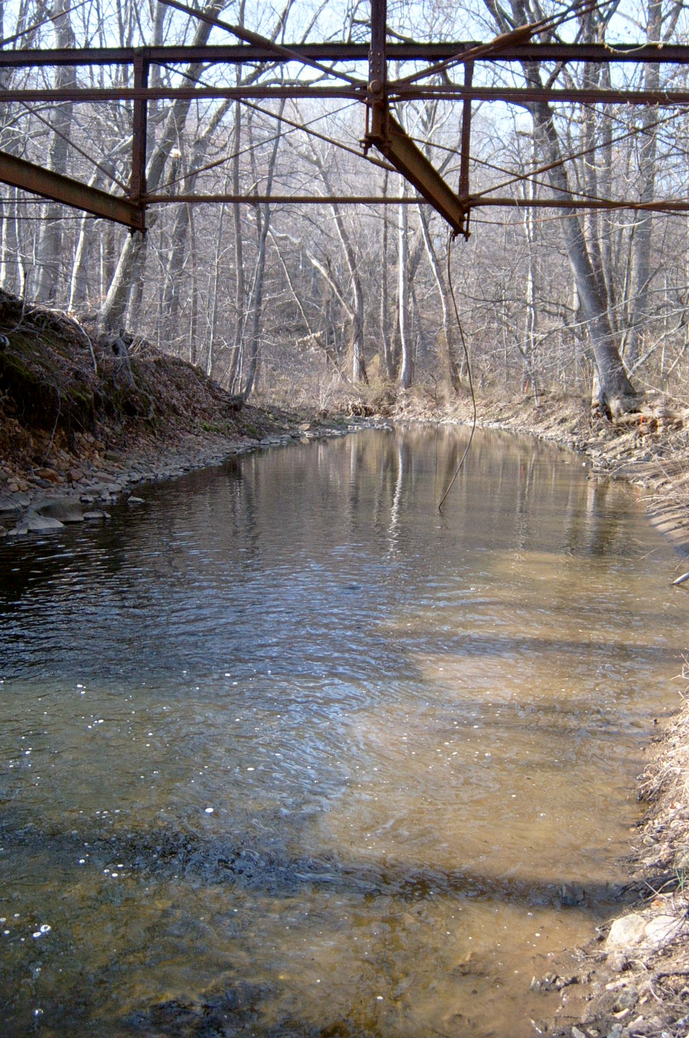 Field photo showing stream conditions at site OCTO-215-R-2004-73
