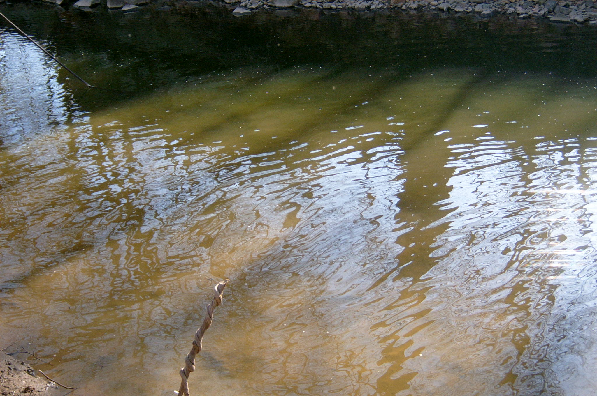 Field photo showing stream conditions at site OCTO-215-R-2004-75