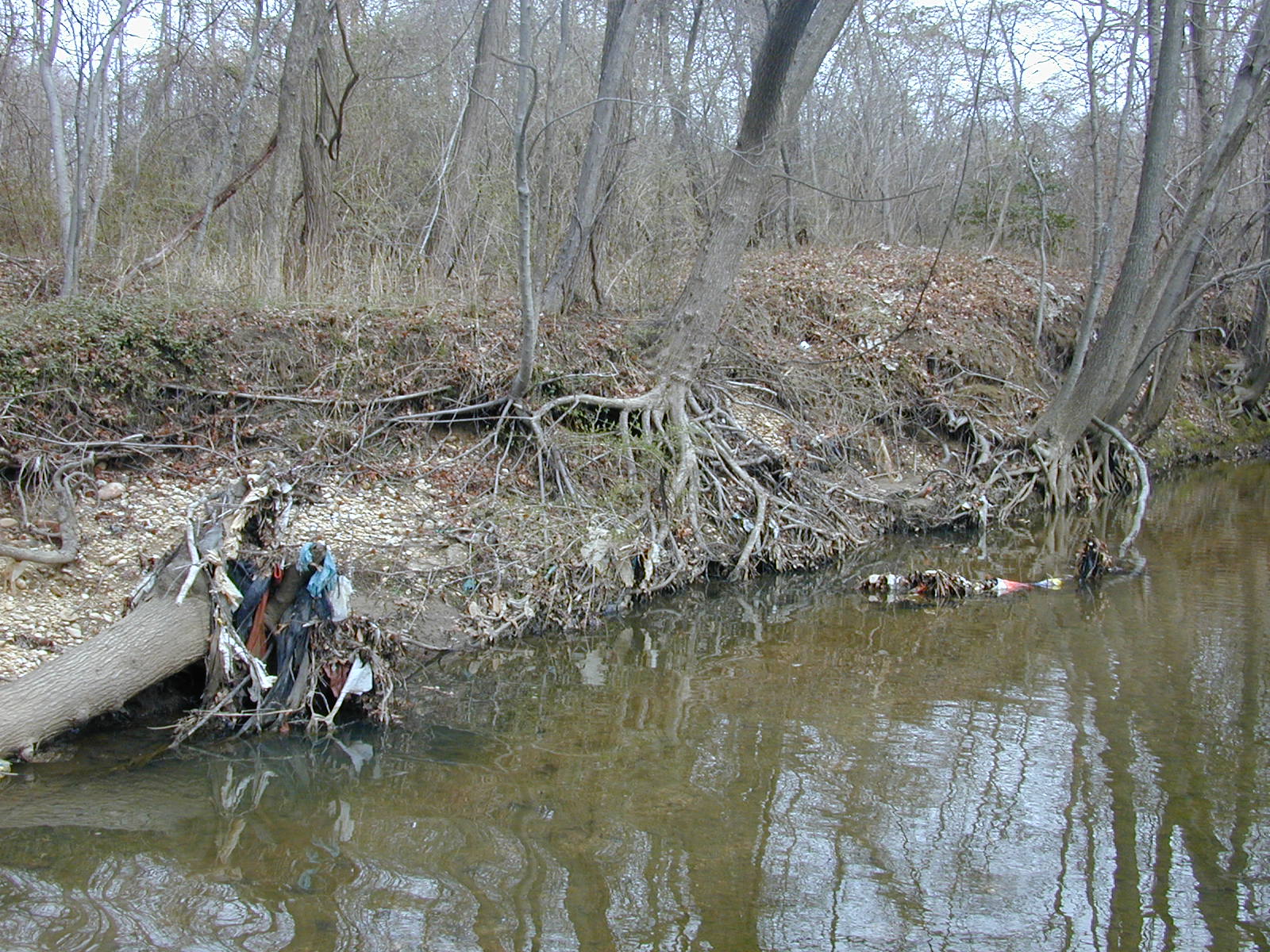 Field photo showing stream conditions at site OXON-101-R-2001-14