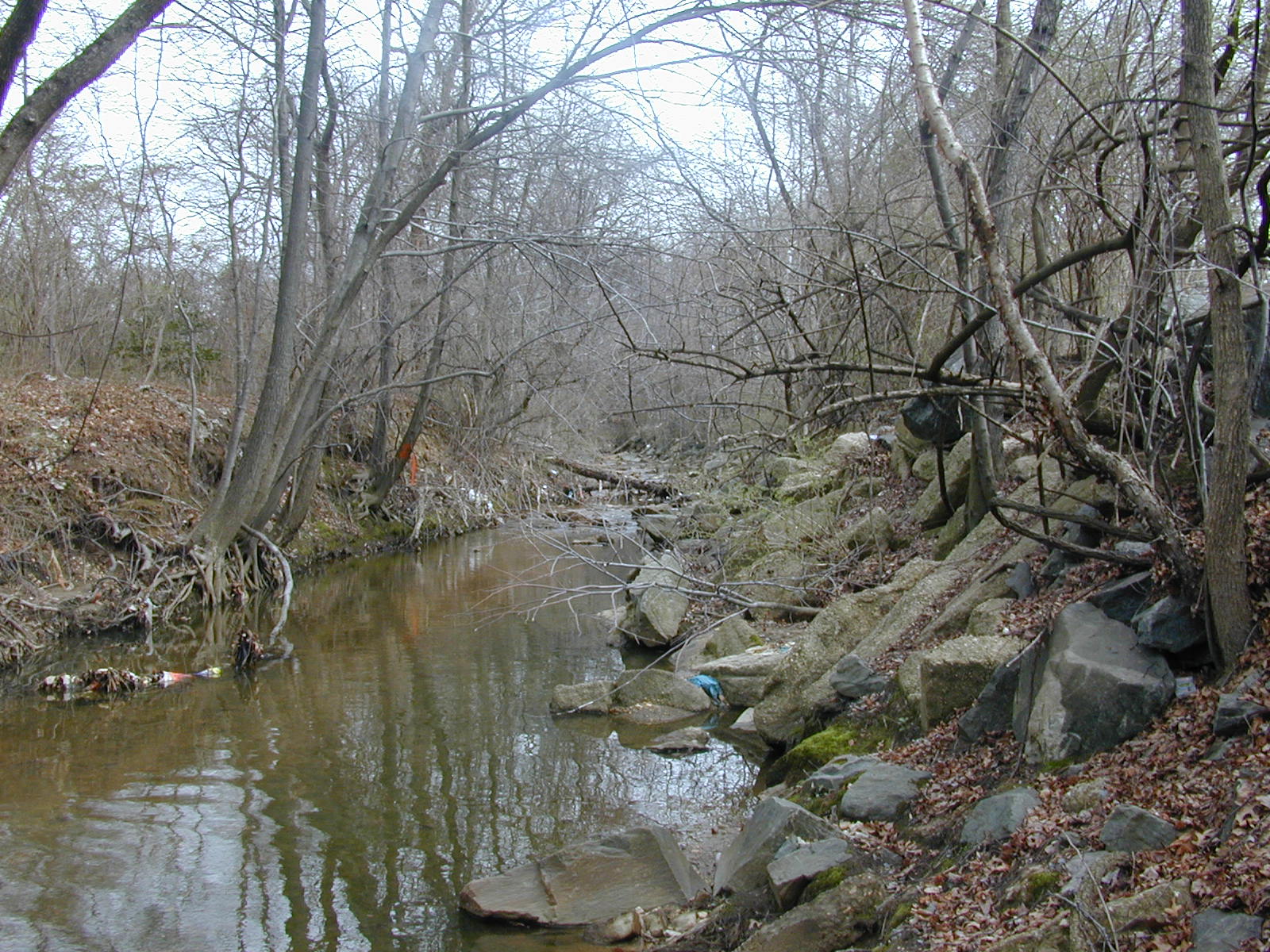 Field photo showing stream conditions at site OXON-101-R-2001-15
