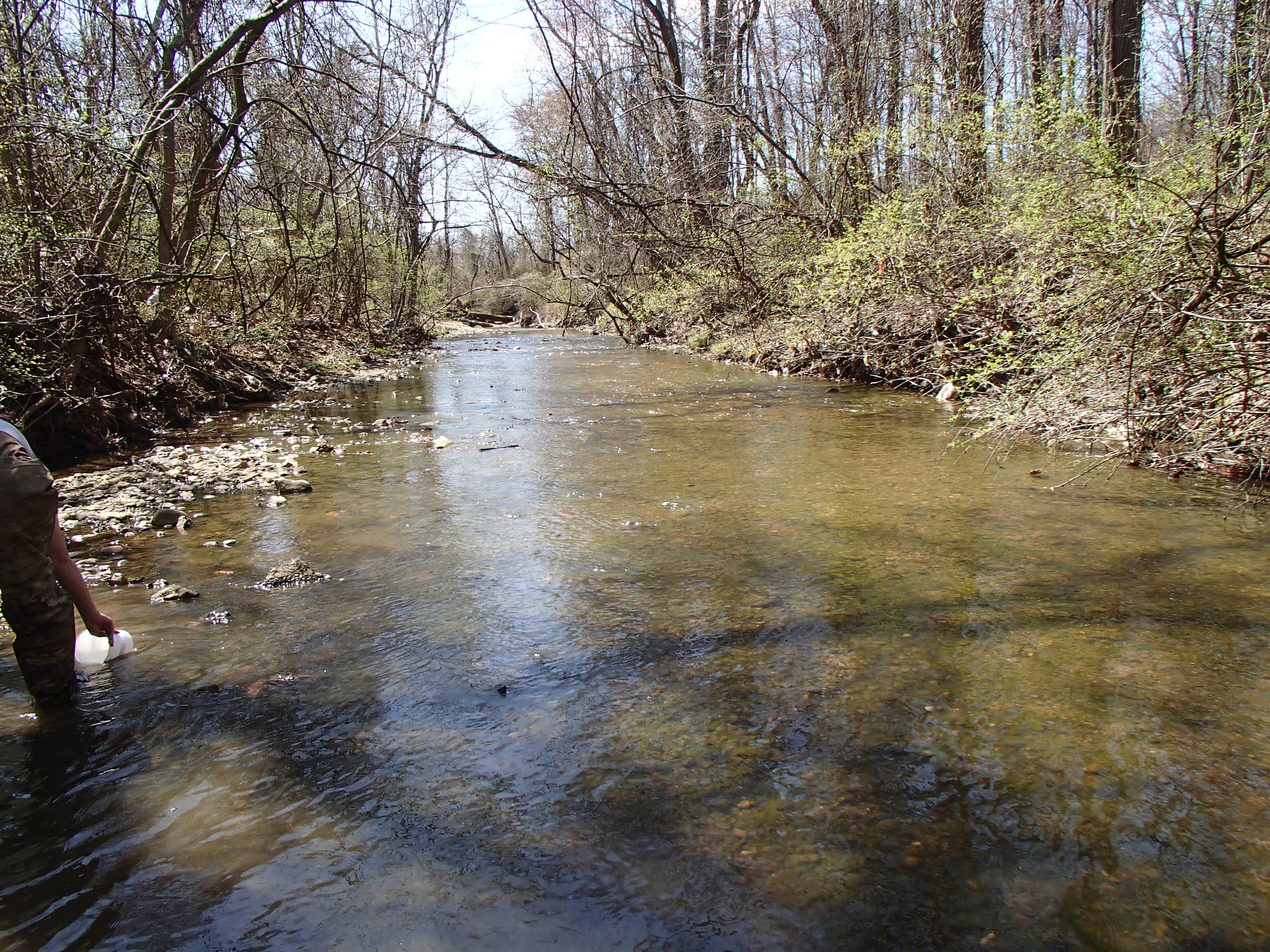 Field photo showing stream conditions at site OXON-101-R-2015_Downstream-of-midpoint