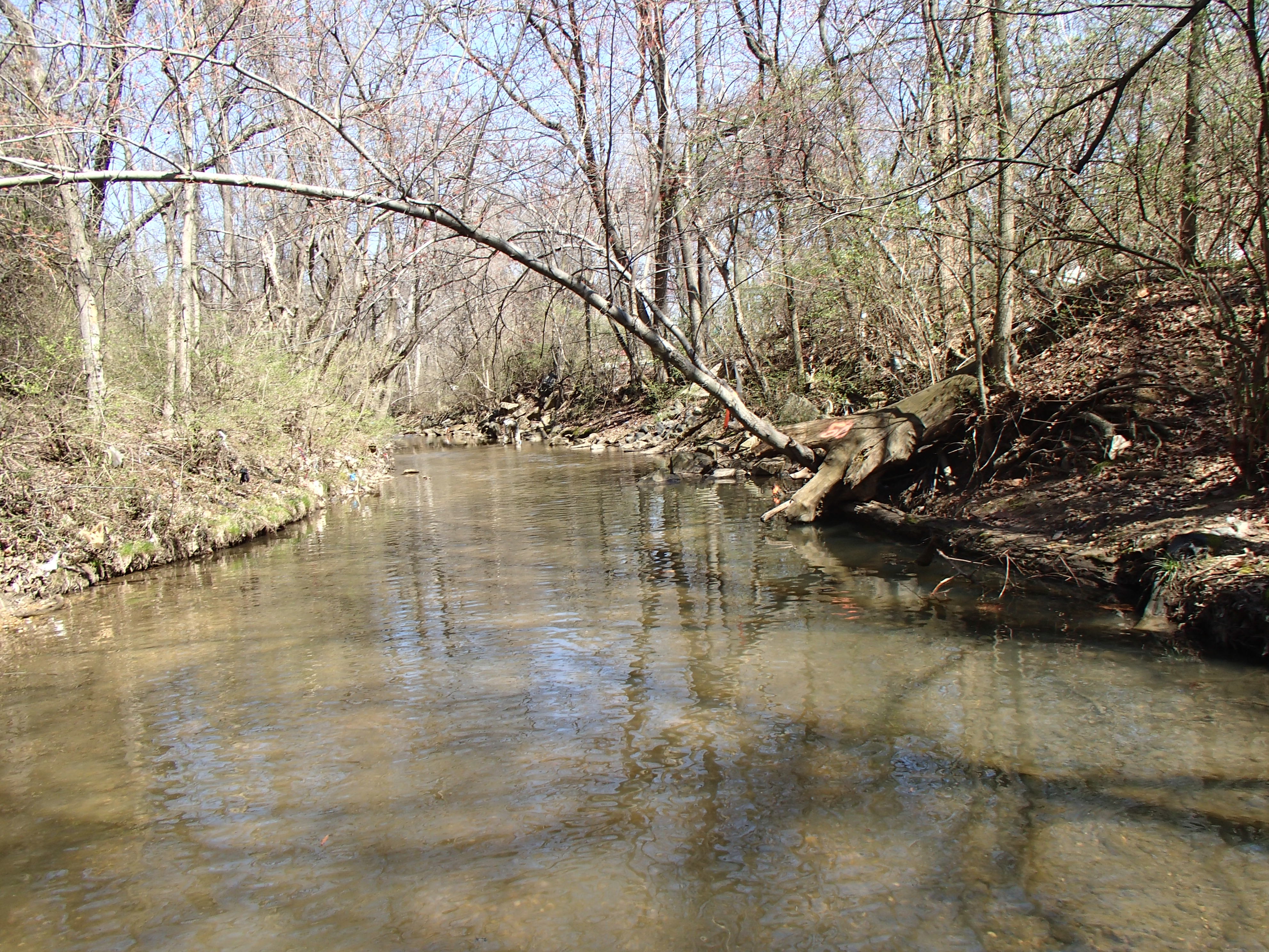 Field photo showing stream conditions at site OXON-101-R-2015_Upstream-of-midpoint
