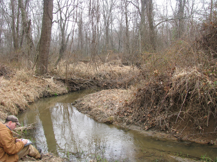 Field photo showing stream conditions at site PATL-102-R-2009-1