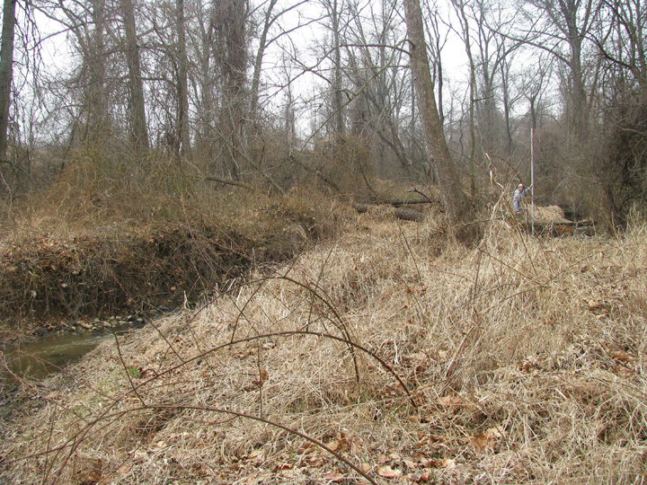 Field photo showing stream conditions at site PATL-102-R-2009-2