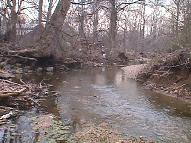 Field photo showing stream conditions at site PATL-103-R-2000-06_04