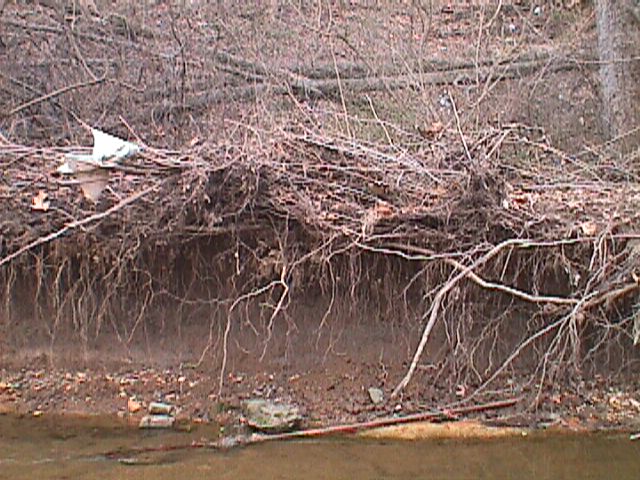 Field photo showing stream conditions at site PATL-103-R-2000-06_05