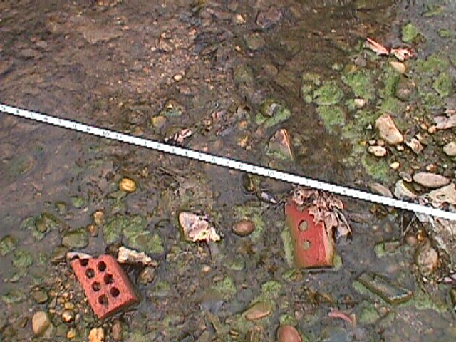 Field photo showing stream conditions at site PATL-103-R-2000-06_07