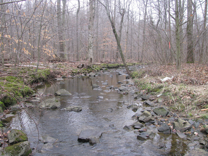 Field photo showing stream conditions at site PATL-103-R-2009-1