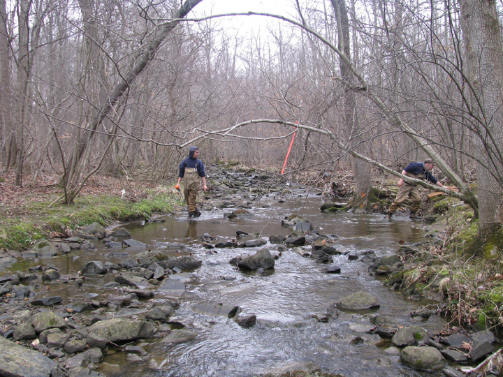 Field photo showing stream conditions at site PATL-103-R-2009-2