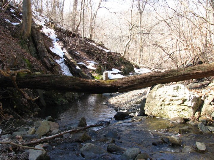 Field photo showing stream conditions at site PATL-103-X-2010-1