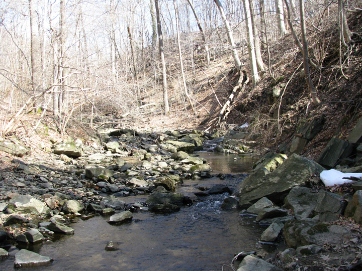Field photo showing stream conditions at site PATL-103-X-2010-2