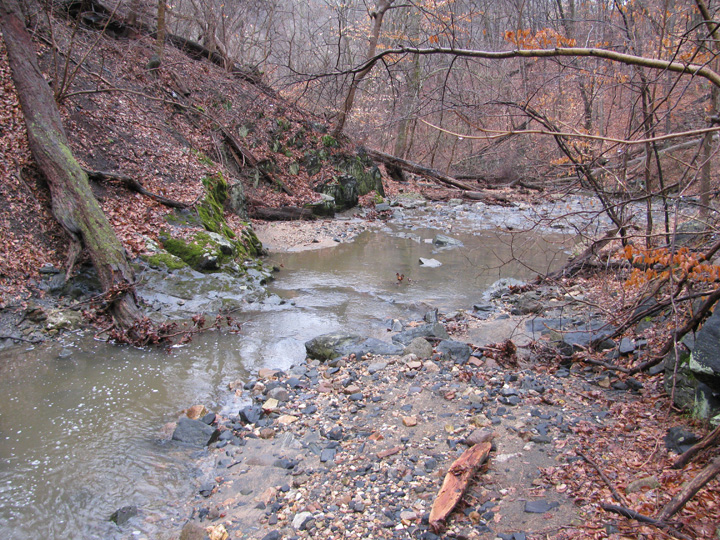 Field photo showing stream conditions at site PATL-103-X-2011-1