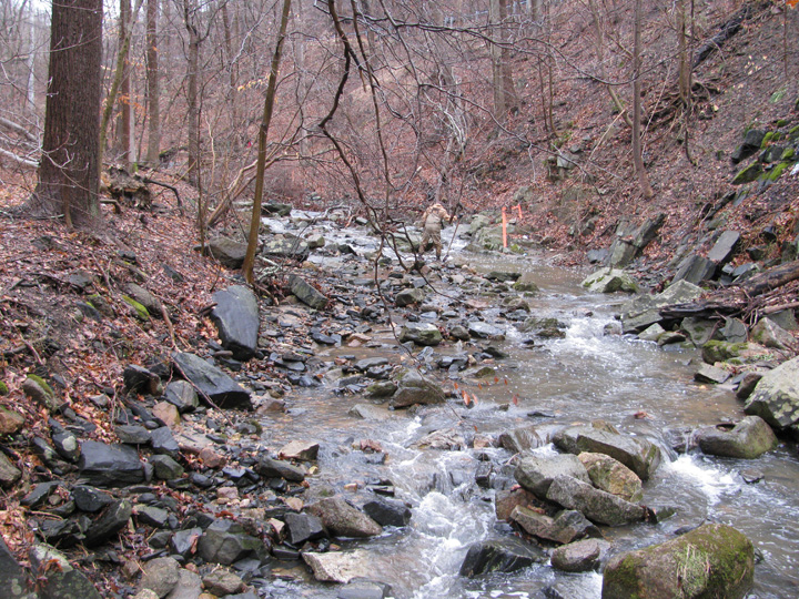 Field photo showing stream conditions at site PATL-103-X-2011-2