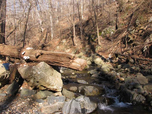 Field photo showing stream conditions at site PATL-103-X-2013-1