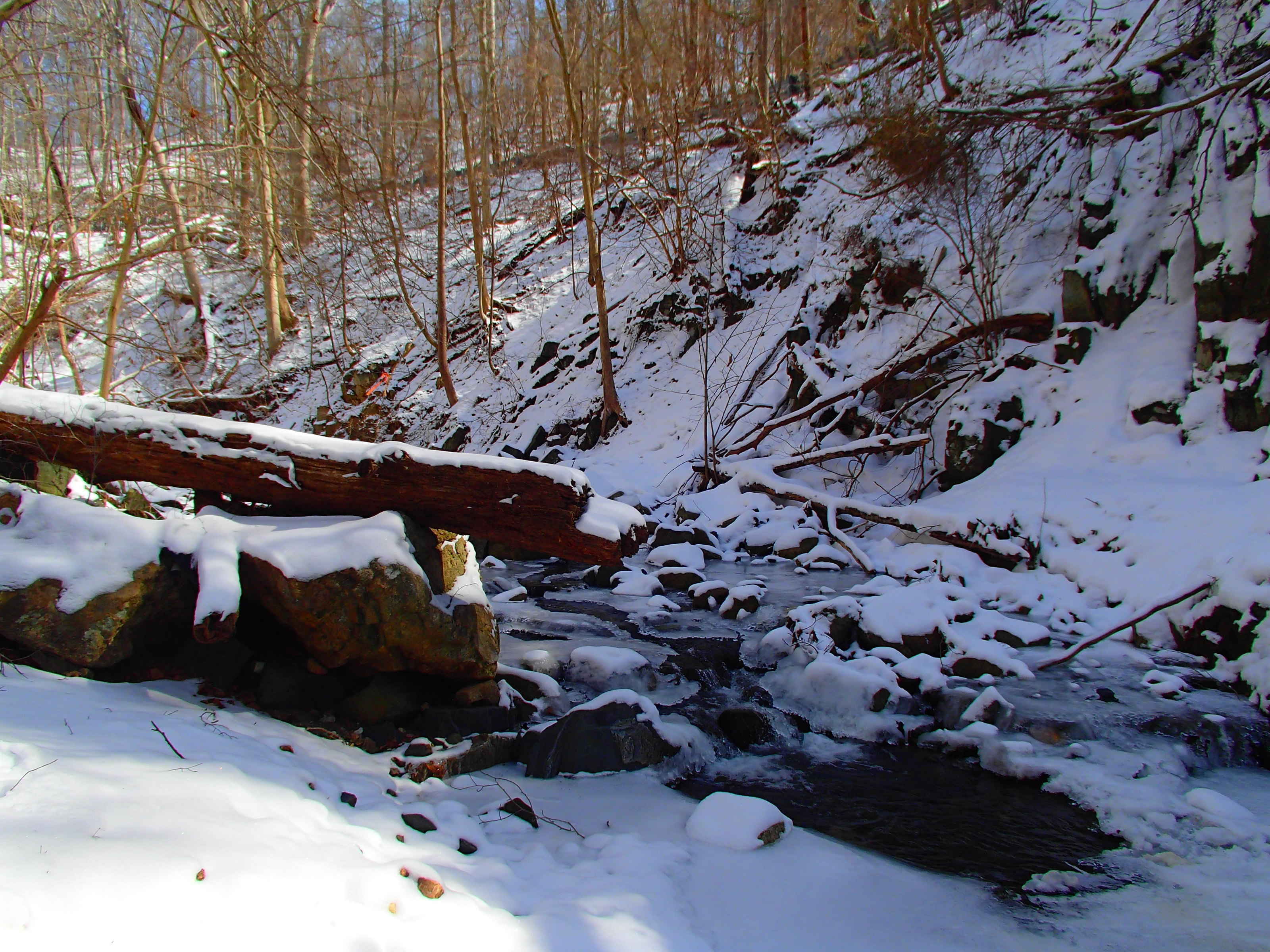 Field photo showing stream conditions at site PATL-103-X-2014-1