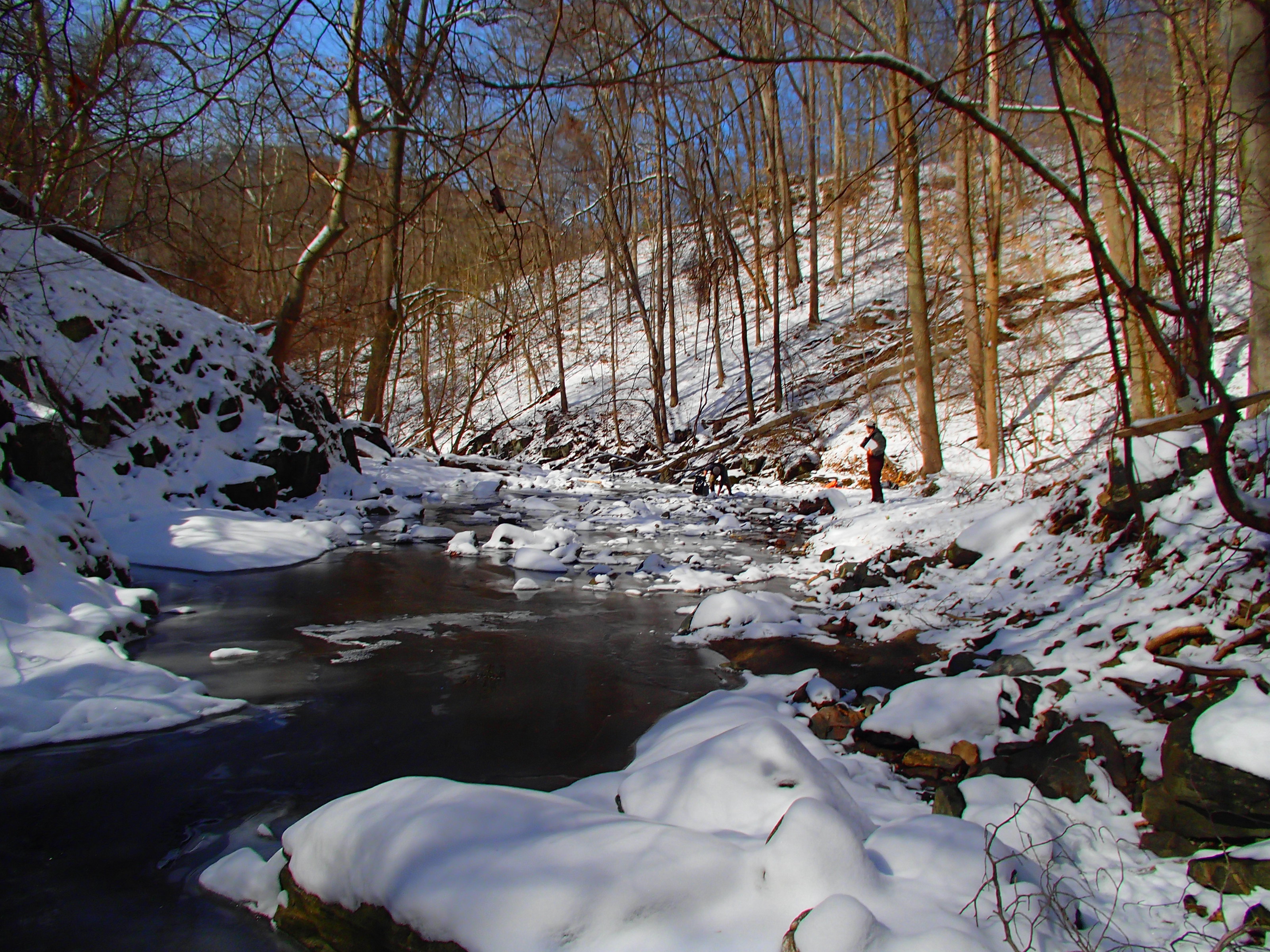 Field photo showing stream conditions at site PATL-103-X-2014-2