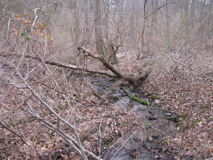 Field photo showing stream conditions at site PATL-104-R-2009-1
