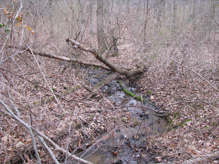 Field photo showing stream conditions at site PATL-104-R-2009-2