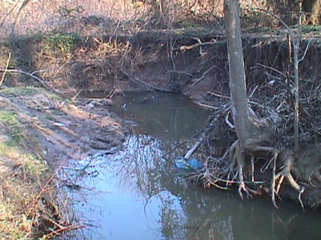 Field photo showing stream conditions at site PATL-105-R-2000-05_13