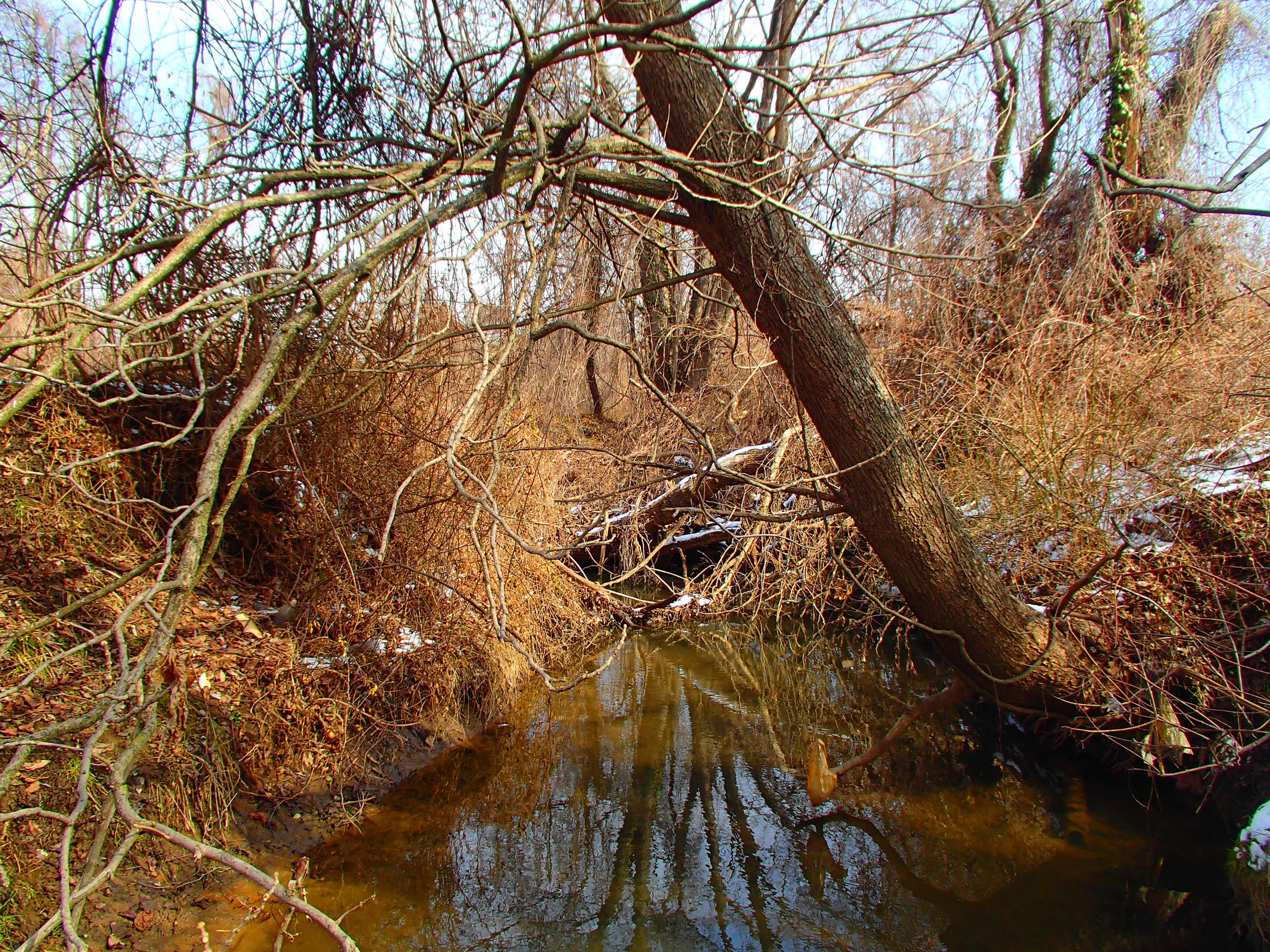 Field photo showing stream conditions at site PATL-105-R-2014-1