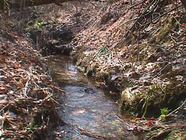 Field photo showing stream conditions at site PATL-106-R-2000-07_06