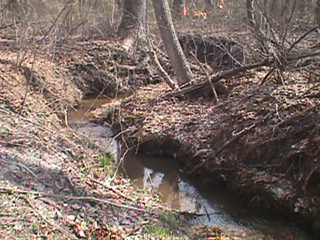Field photo showing stream conditions at site PATL-106-R-2000-07_07