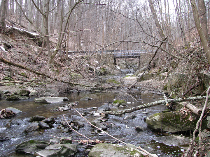 Field photo showing stream conditions at site PATL-106-X-2010-1