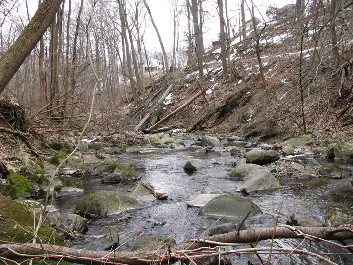 Field photo showing stream conditions at site PATL-106-X-2010-2