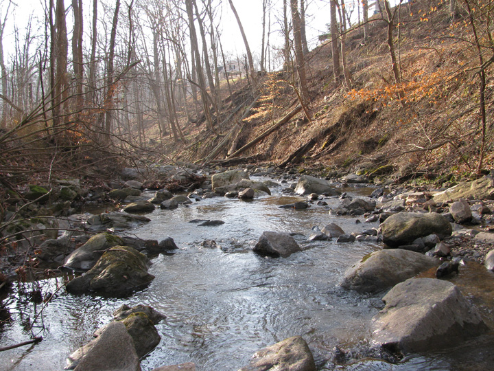 Field photo showing stream conditions at site PATL-106-X-2011-1