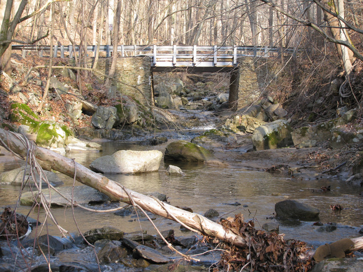 Field photo showing stream conditions at site PATL-106-X-2011-2
