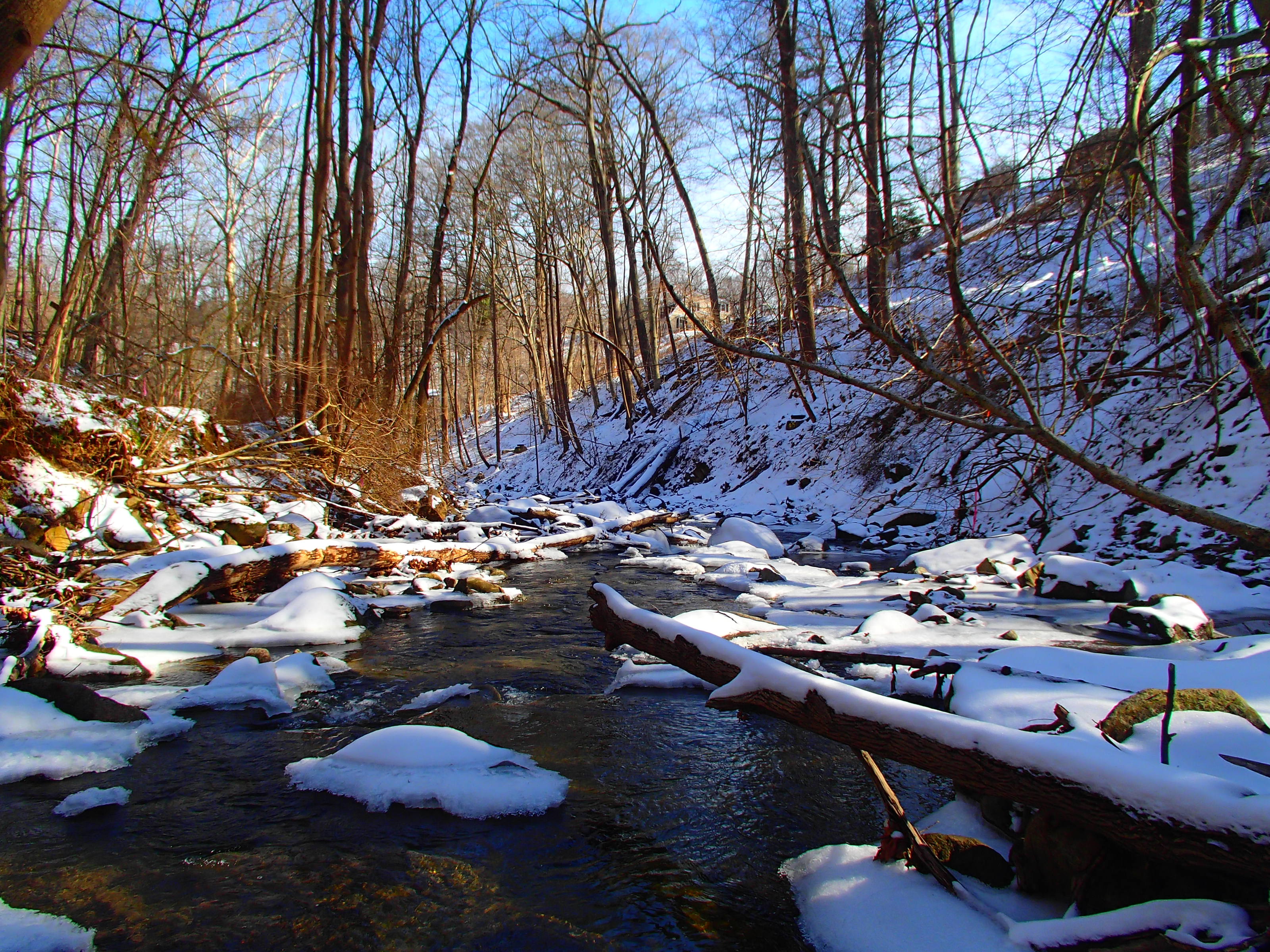 Field photo showing stream conditions at site PATL-106-X-2014-2
