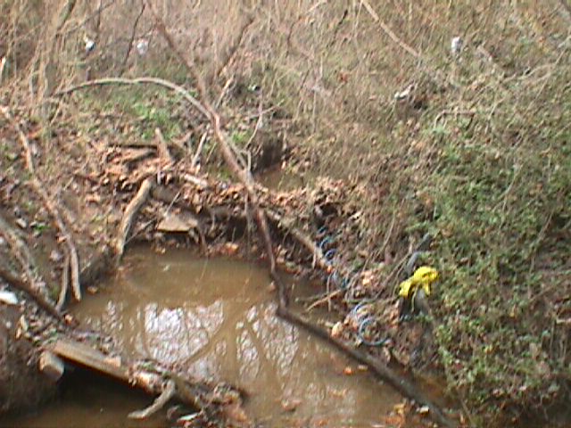 Field photo showing stream conditions at site PATL-111-R-2000-06_01