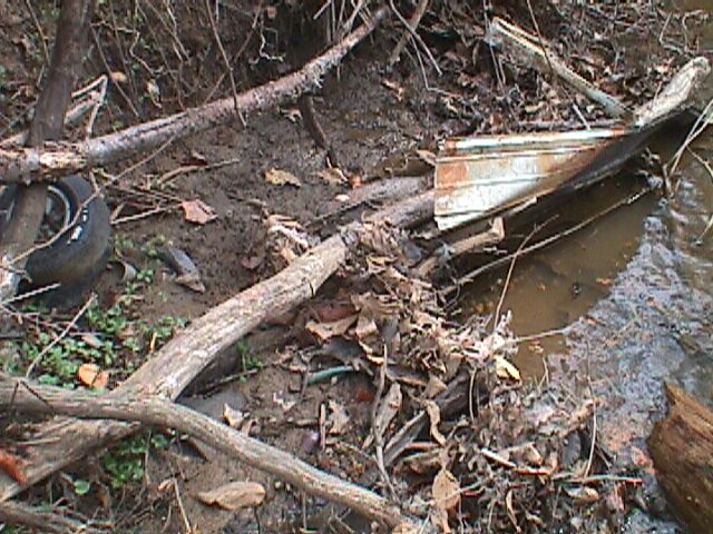 Field photo showing stream conditions at site PATL-111-R-2000-06_02
