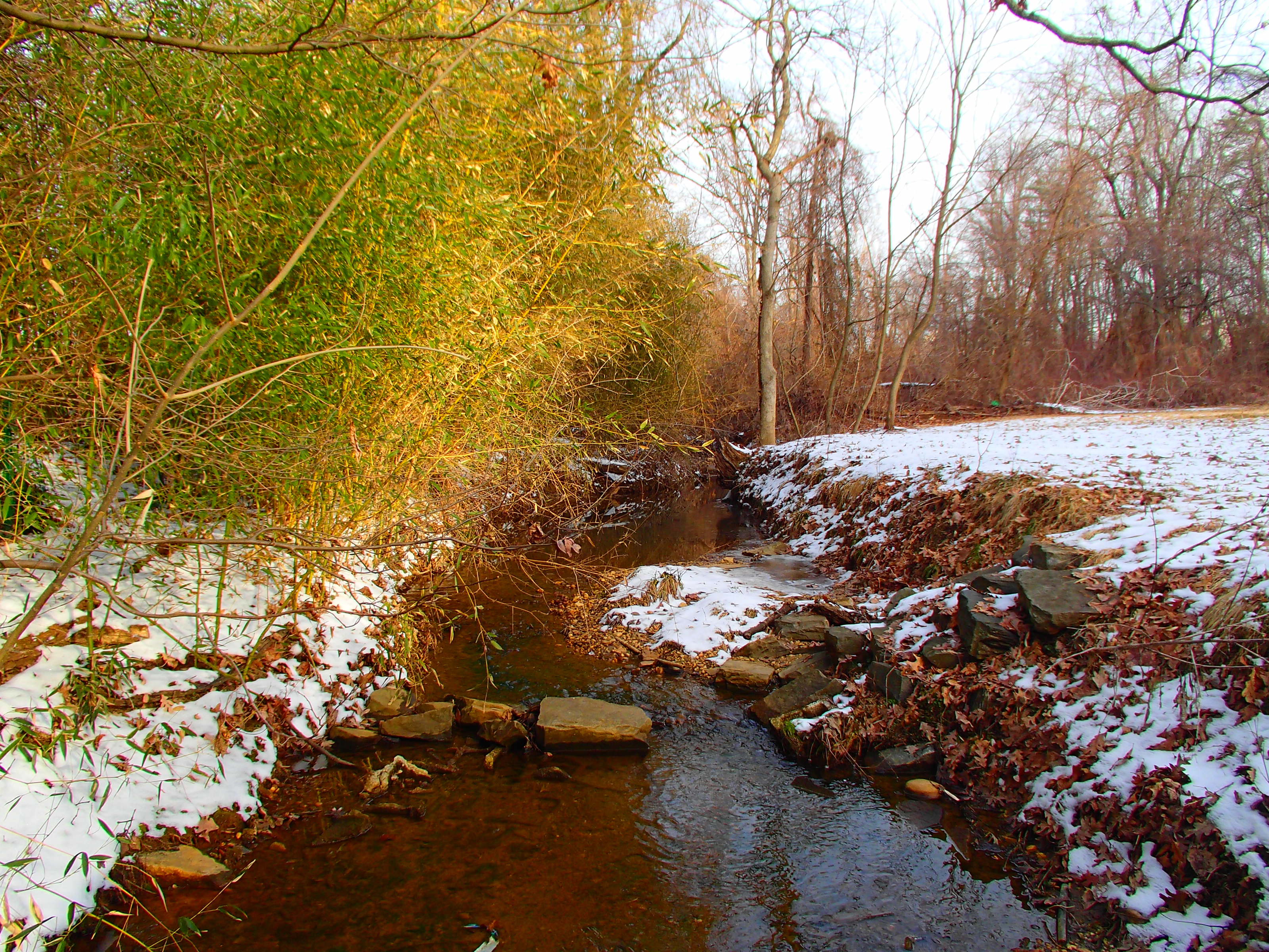 Field photo showing stream conditions at site PATL-111-R-2014-1