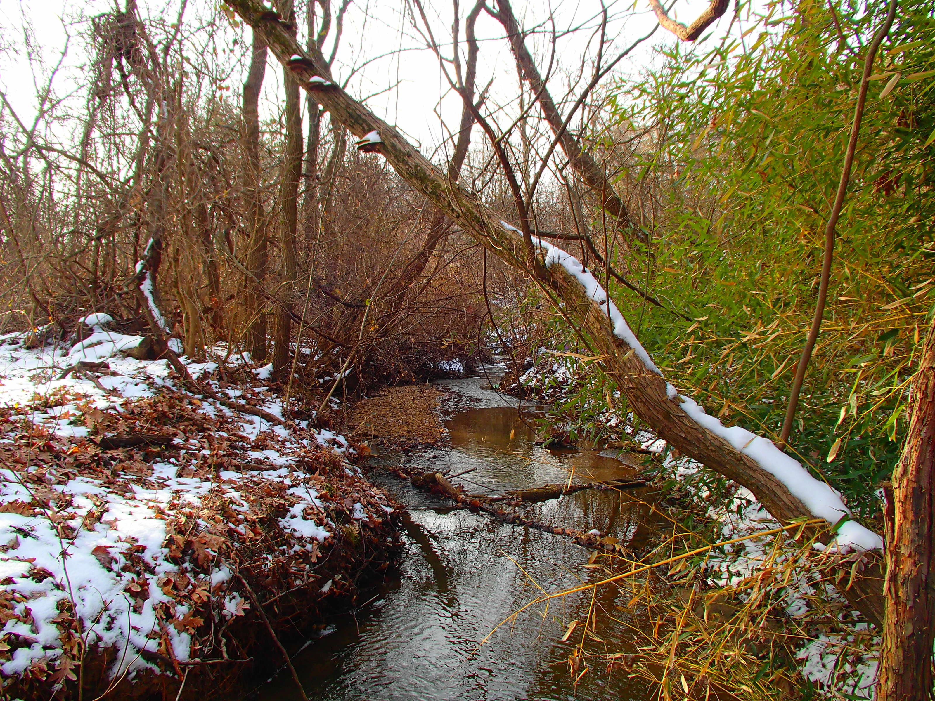 Field photo showing stream conditions at site PATL-111-R-2014-2