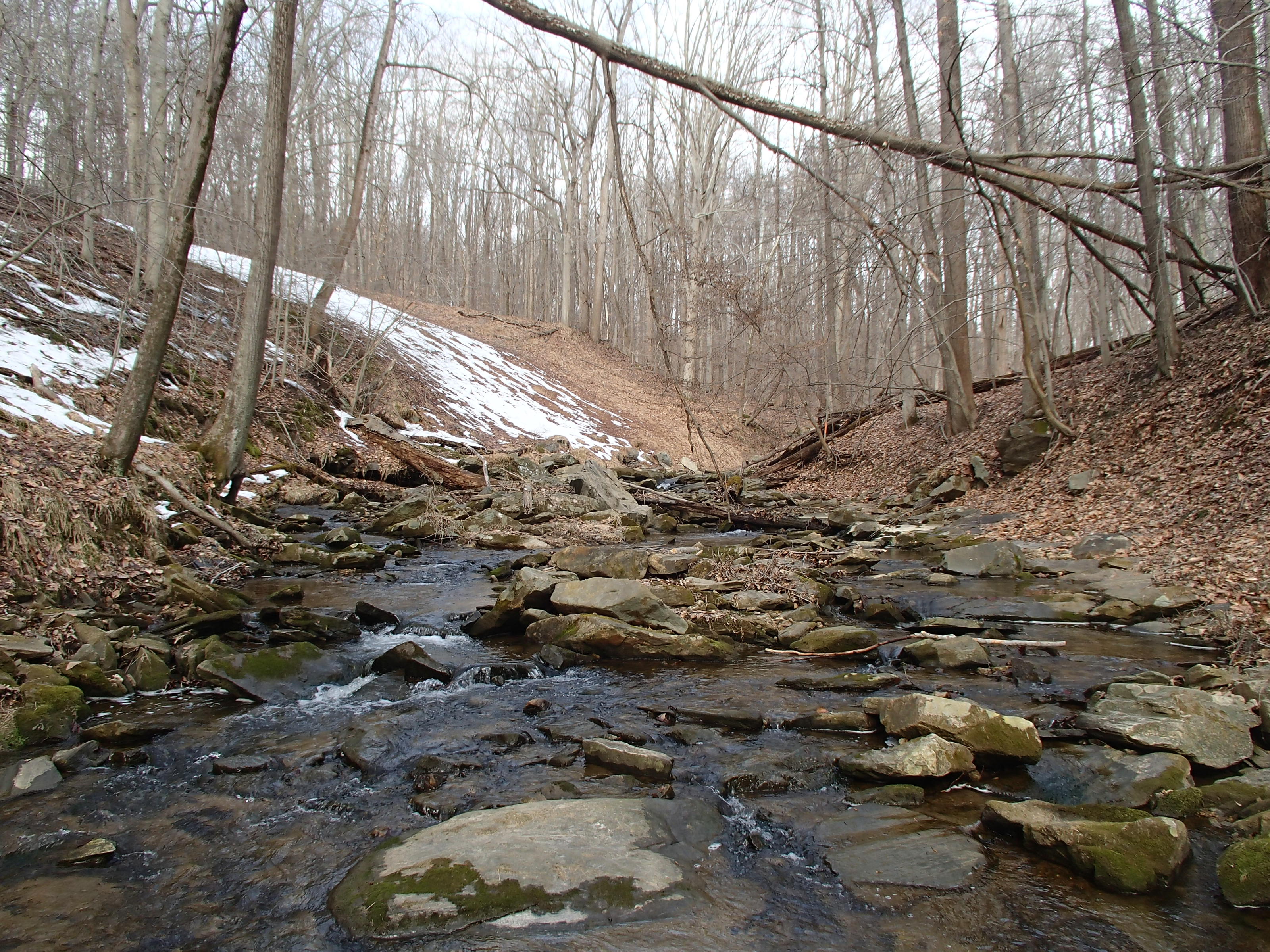 Field photo showing stream conditions at site PATL-112-X-2014-1