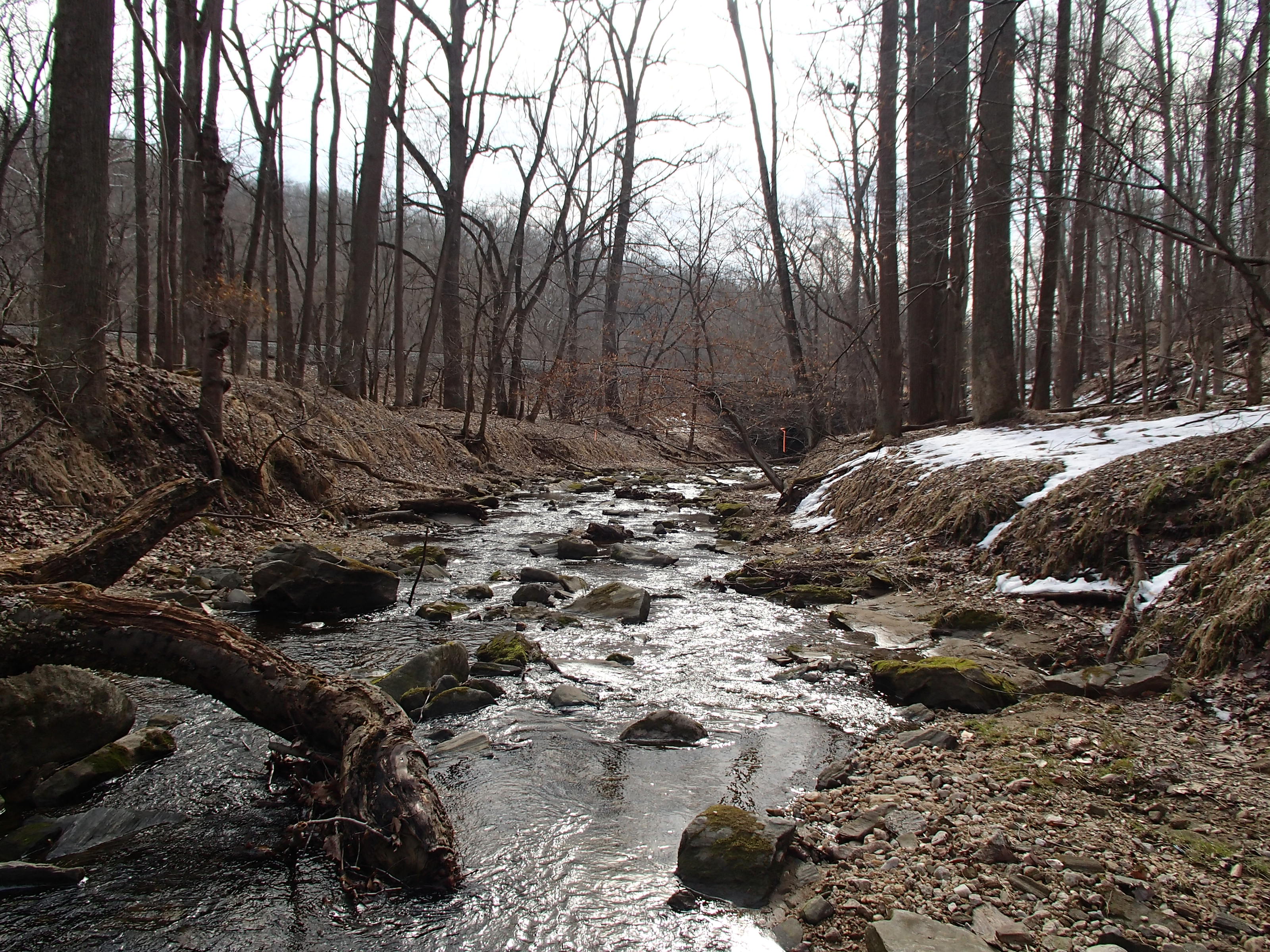 Field photo showing stream conditions at site PATL-112-X-2014-2