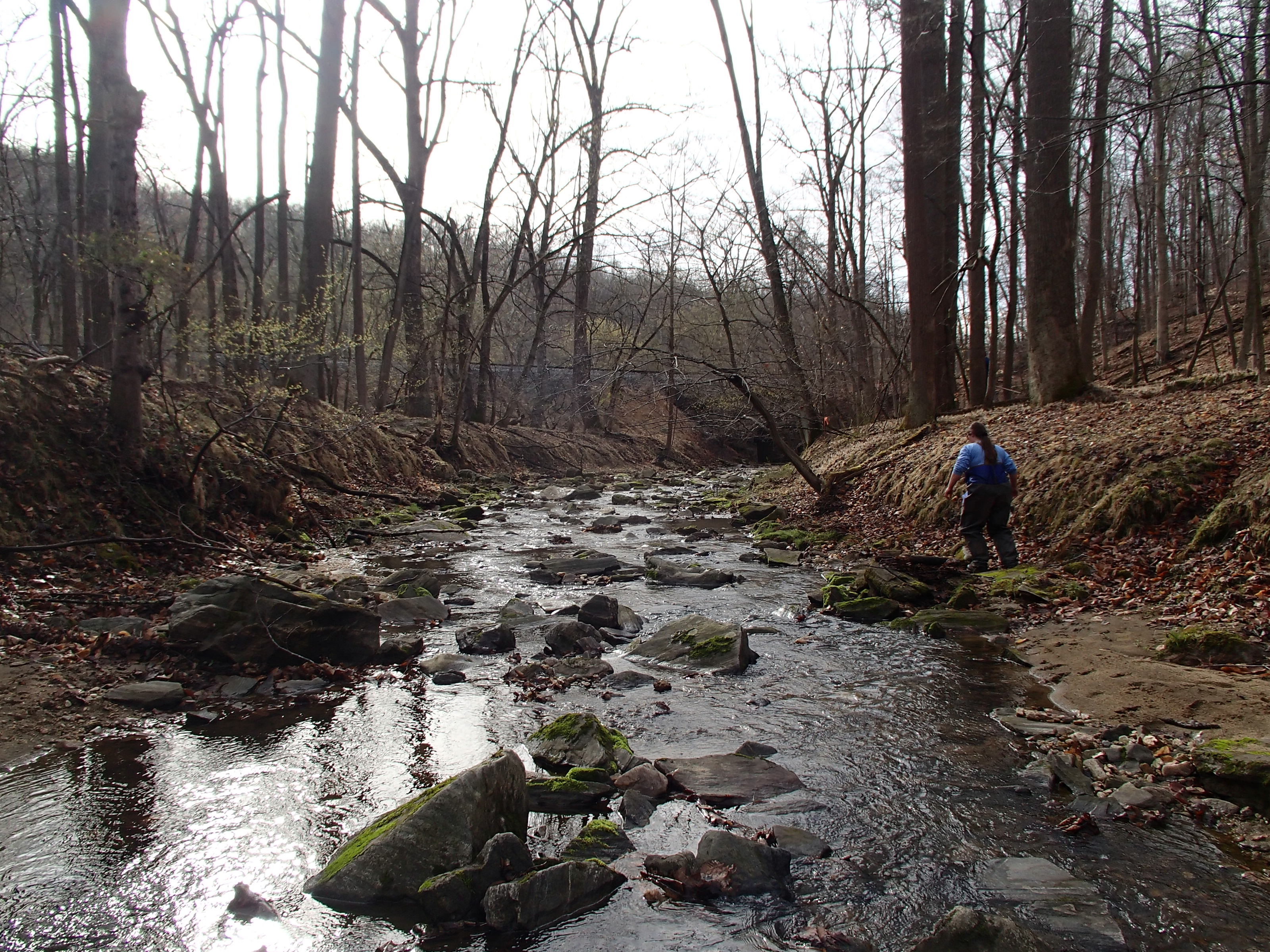 Field photo showing stream conditions at site PATL-112-X-2015_midpoint-at-P-looking-downstream
