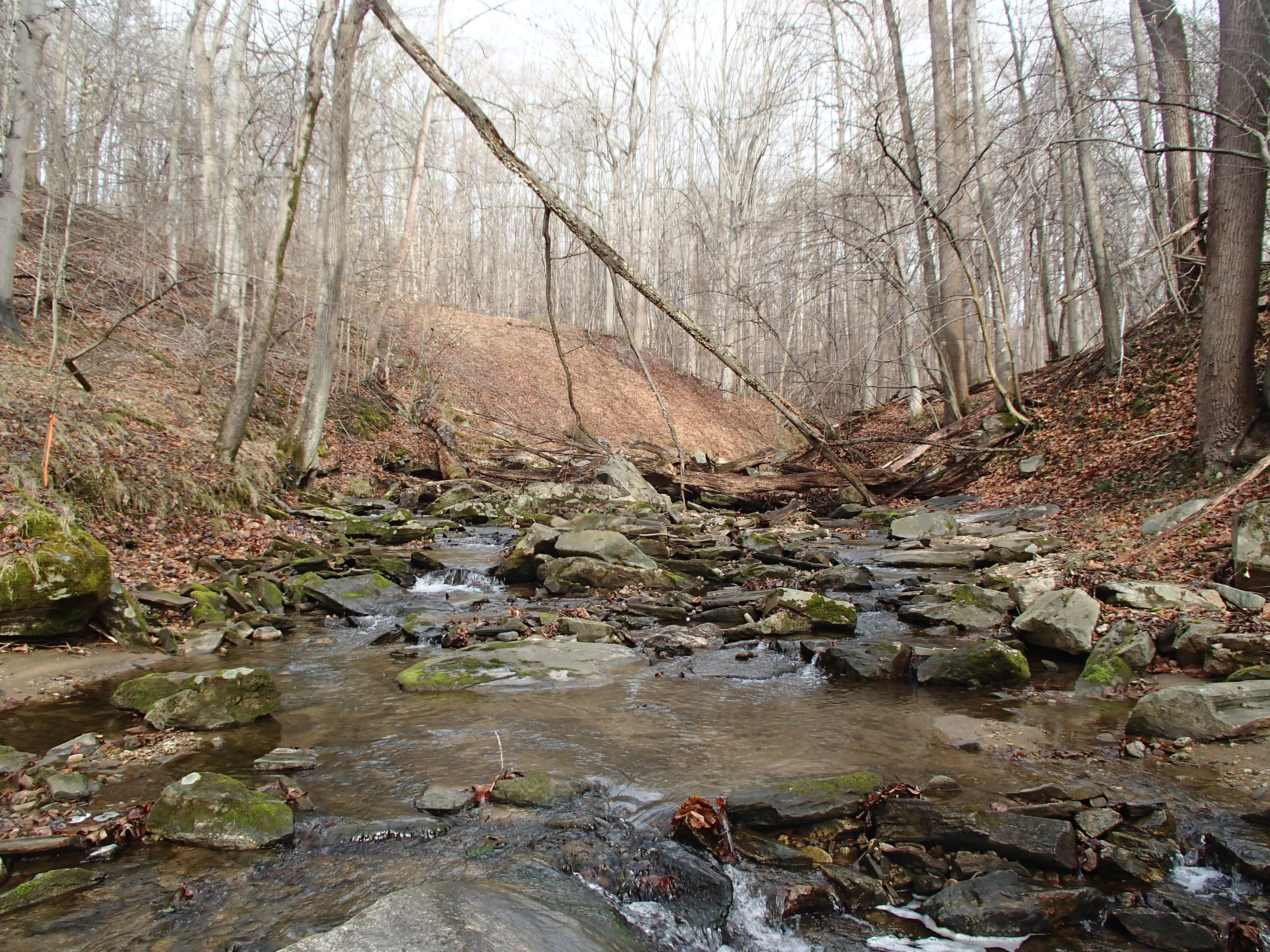 Field photo showing stream conditions at site PATL-112-X-2015_midpoint-at-P-looking-upstream