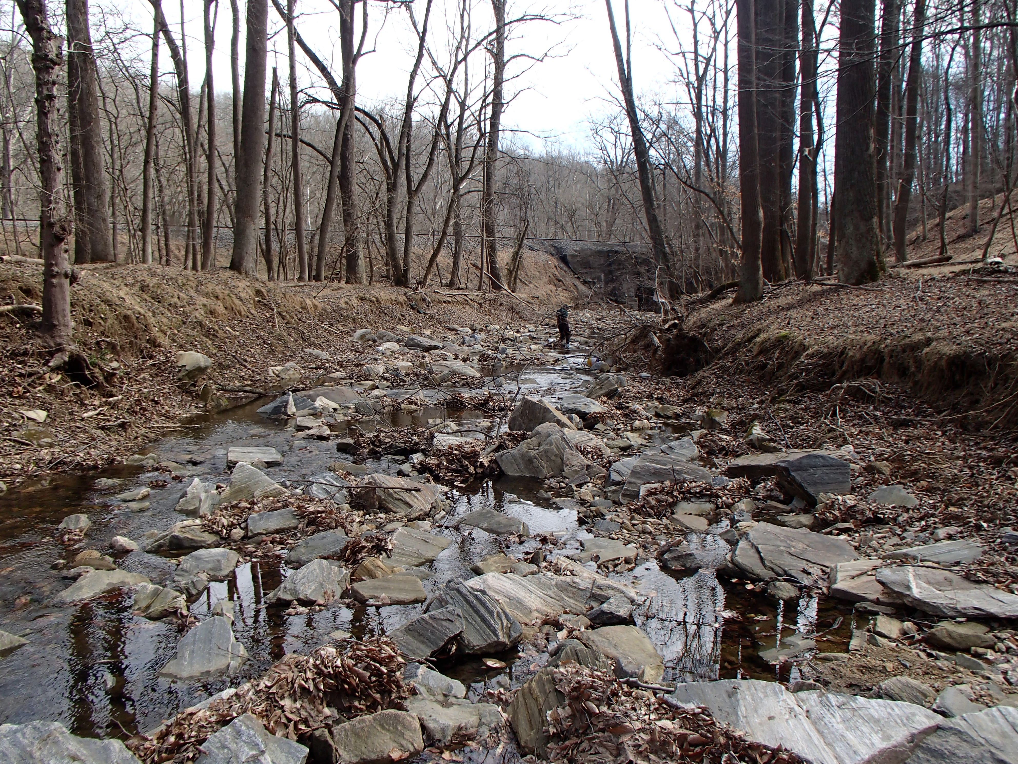 Field photo showing stream conditions at site PATL-112-X-2017-MidpointLookingDownstream