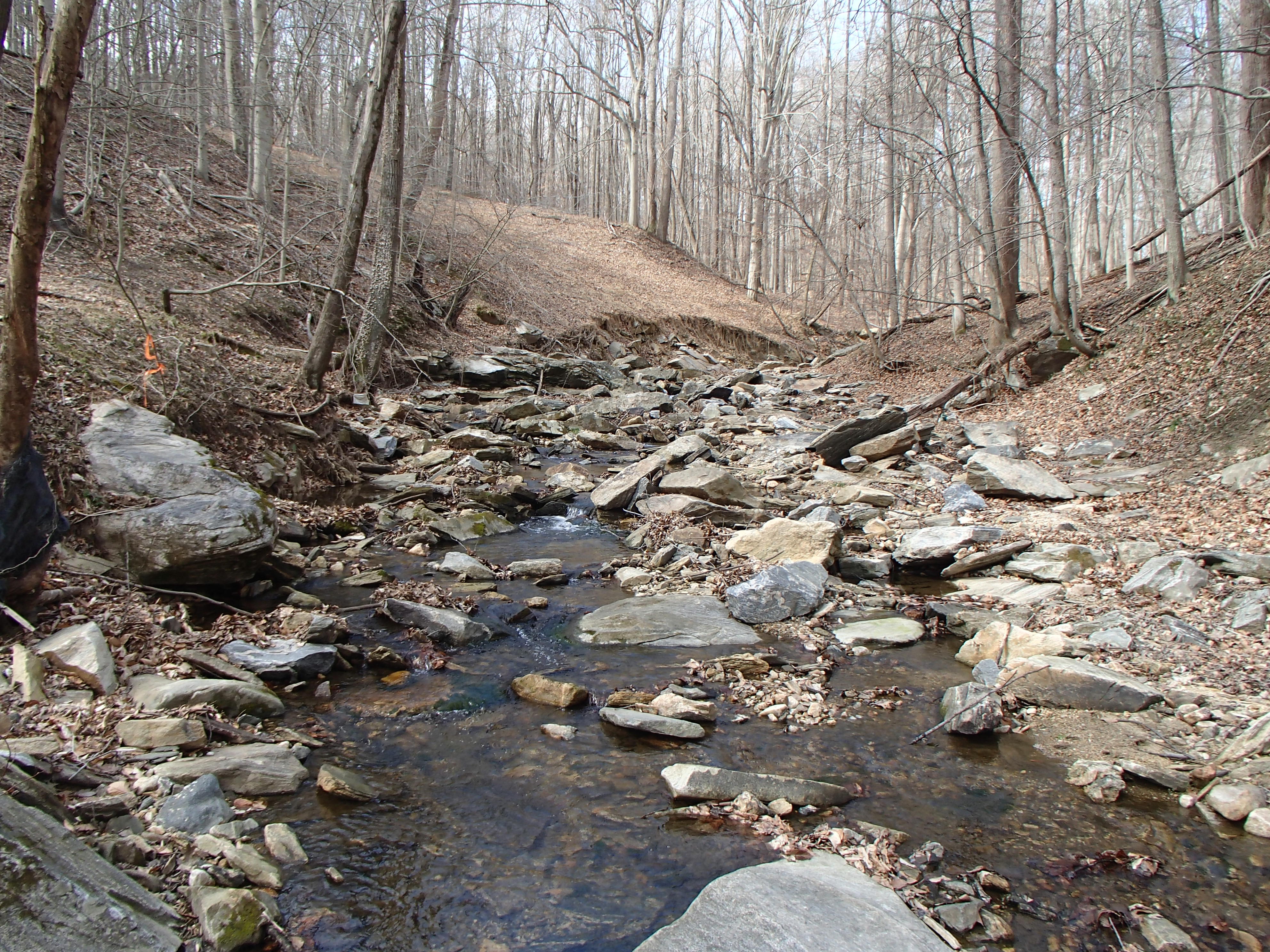 Field photo showing stream conditions at site PATL-112-X-2017-MidpointLookingUpstream