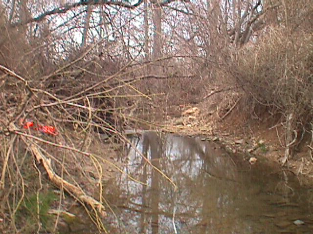 Field photo showing stream conditions at site PATL-114-R-2000-06_09