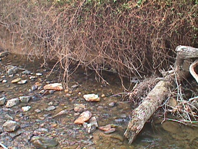 Field photo showing stream conditions at site PATL-114-R-2000-06_10