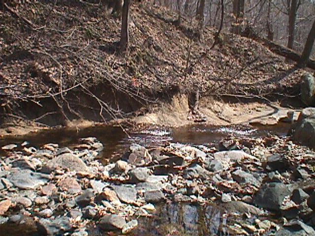 Field photo showing stream conditions at site PATL-116-R-2000-05_07