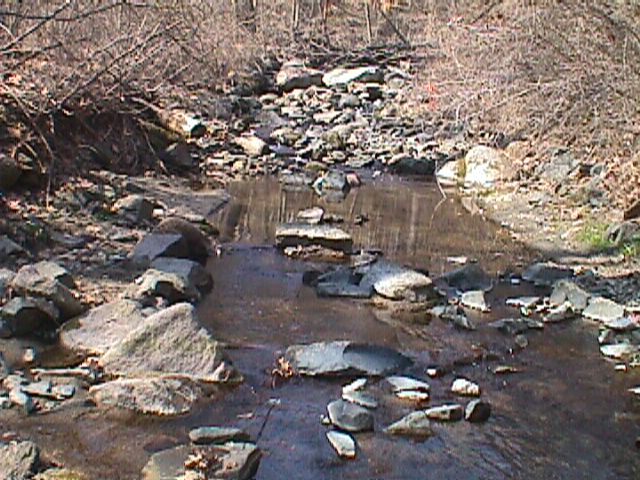 Field photo showing stream conditions at site PATL-116-R-2000-05_09