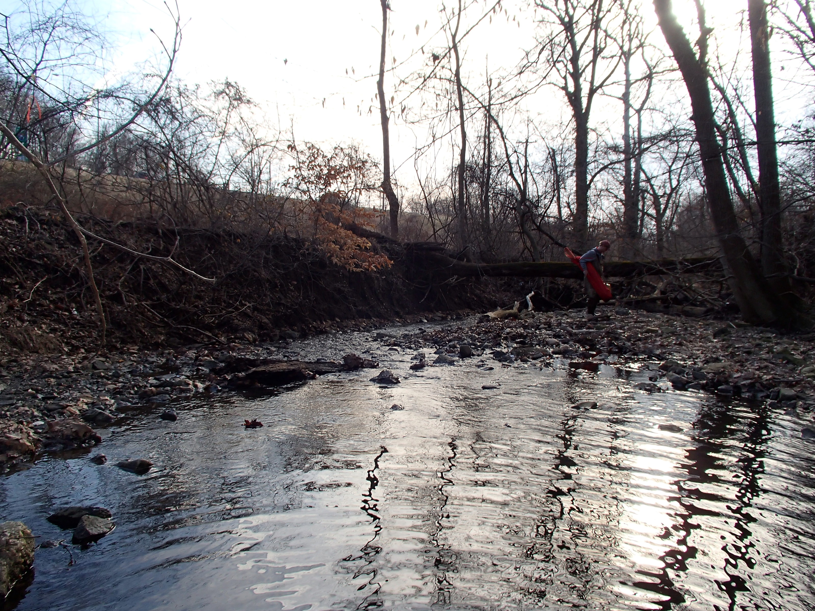 Field photo showing stream conditions at site PATL-117-R-2015_midpoint-looking-downstream