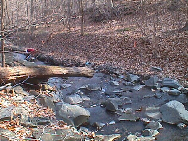 Field photo showing stream conditions at site PATL-119-R-2000-05_11